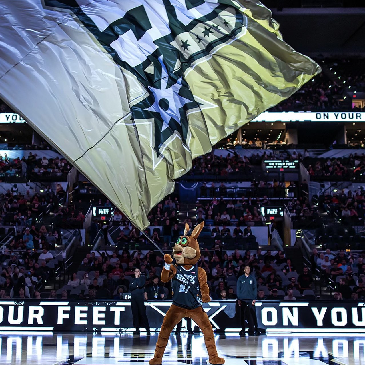 和努力向世 和努力向世